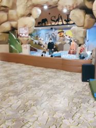 -卡通尼·Safari非洲探索乐园·生日会(金桥国际商业广场店)