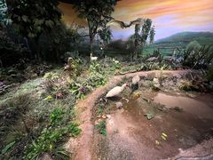 -陕西自然博物馆