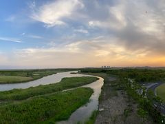 -春花秋色城市公园