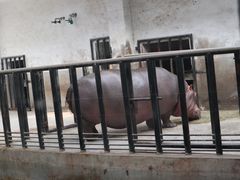 -石家庄市动物园