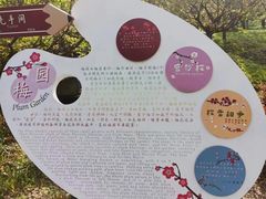 -花开海上生态园