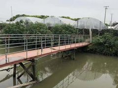 -马陆小张葡萄园农家乐