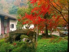-宋宴(虎跑店)