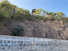 -上海佘山国家森林公园天马山园