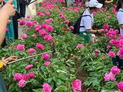 -广西壮族自治区药用植物园
