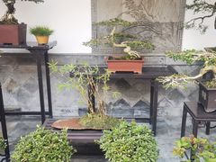 -个园