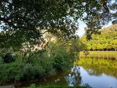 -喜茶(东莞雍华庭店)