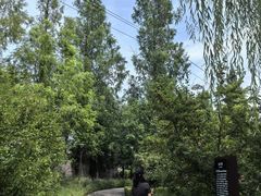-元大都城垣遗址公园
