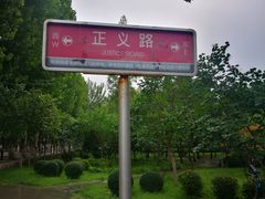 -山东大学(洪家楼校区)