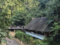 -西双版纳原始森林公园