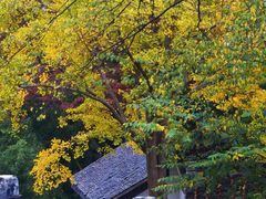 -南山风景名胜区