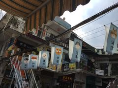 游乐设施-猫咪博物馆(顶澳仔猫街店)