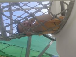 -萌宠亲子动物乐园(槐房万达店)