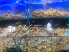 -苏格里岛自助烤肉海鲜火锅(成都金牛万达店)