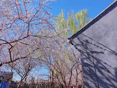 -三里河公园
