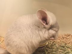 -龙猫仔乐园(惠福东路店)