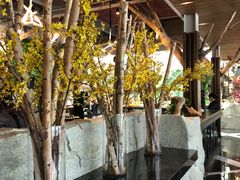 -春晖园度假酒店温泉