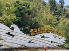 -西双版纳原始森林公园