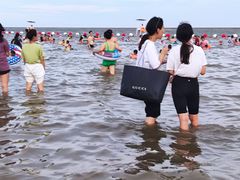 -碧海金沙