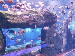 -石家庄海洋公园
