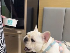 -美联众合动物医院·24h转诊中心
