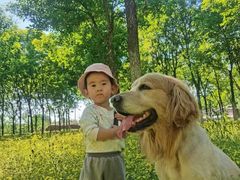 -宠福鑫康馨动物医院·骨科·眼科