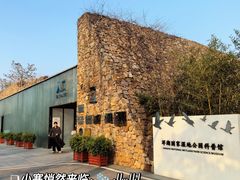 -洋湖国家湿地公园