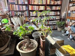 -正阳书局(西四南大街店)