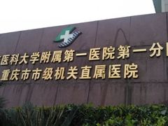 -重庆医科大学附属第一医院(本部)