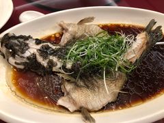 -上海新锦江大酒店