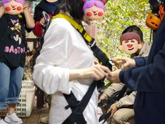 -西双版纳原始森林公园