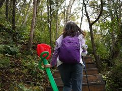 -白草畔自然风景区