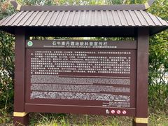 -玻璃桥景区石牛寨