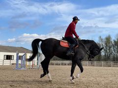 -北京群众马术培训基地