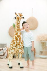 点击看大图 -Angel Fish photography 儿童摄影工作室(亚运村店)
