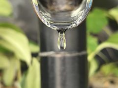 -北马山庄植趣咖啡