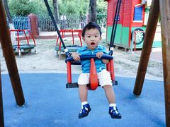 -永定河休闲森林公园