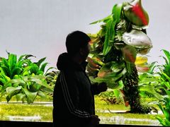 -现代汽车文化中心 Hyundai Motorstudio Beijing