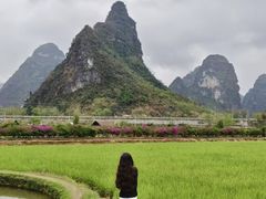 -明仕田园