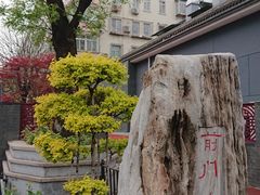 -功德林素菜饭庄(前门店)