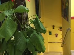 -东方童画少儿美术(莘庄体验馆)