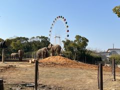 -上海野生动物园