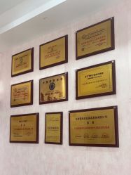 -香薇妮丝·定制减肥·身材管理