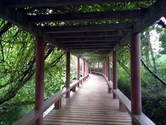 -江湾神木园