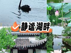 -水绘园