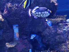 -成都浩海立方海洋公园