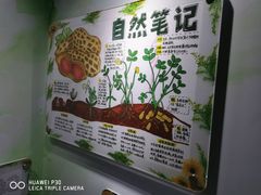 -上海昆虫博物馆