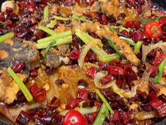 -老板恋上鱼(恒隆广场店)