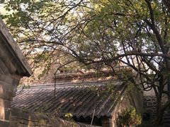 -康坞大寺