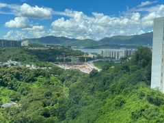 -香港大学